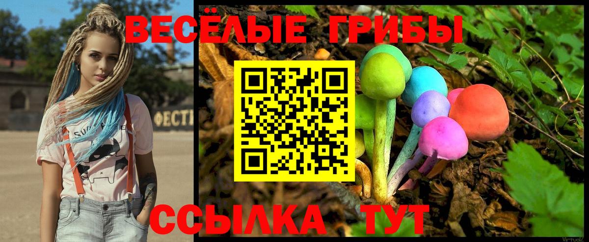 Псилоцибиновые грибы Magic Shrooms  Галлюциногенные грибы Psilocybine cubensis  Вход с VPN  Кашира 